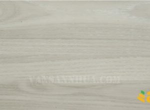 Sàn nhựa Anpro SA73