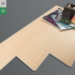 Sàn nhựa hèm khóa Eco3817