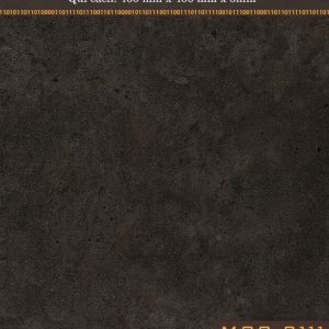 Sàn nhựa Galaxy MSS 3111