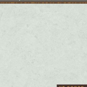 Sàn nhựa Galaxy YT 5003S