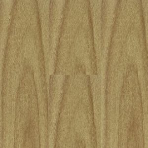 Sàn nhựa IBT Floor dán keo 1031