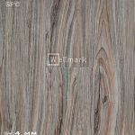 Sàn nhựa hèm khóa Wellmark 8125