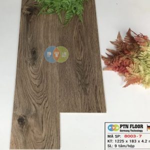Sàn nhựa hèm khóa PTN 8003-7