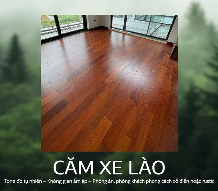 Ứng dụng của sàn Căm Xe tự nhiên