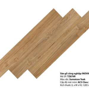 Sàn gỗ Inovar TZ879R